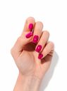 Flamingo_BUILDER_1508A_069_W.webp